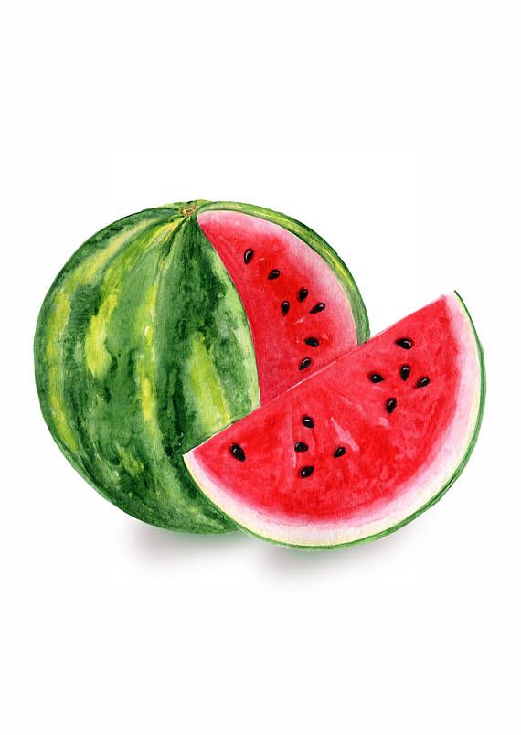 Watermelon Watercolor Clipart, Summer Clip Art, Sublimation.