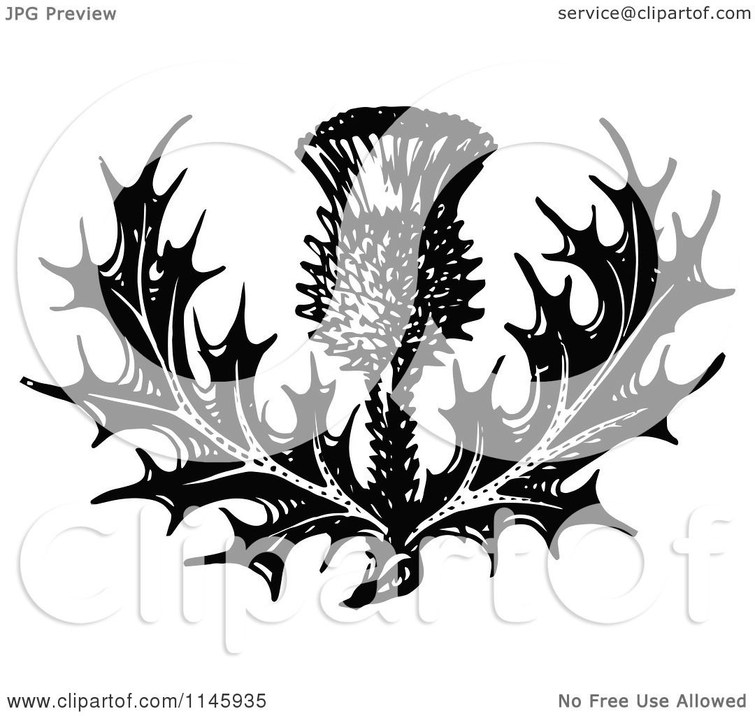 Clipart of a Retro Vintage Black and White Thistle Flower.