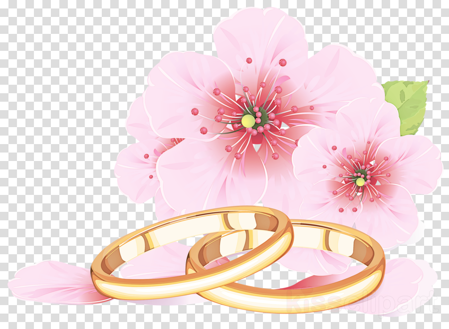 Wedding ring clipart.