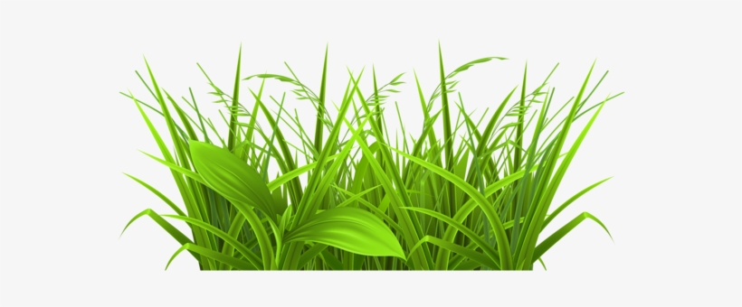 Weed Grass Cliparts Free Download Clip Art.