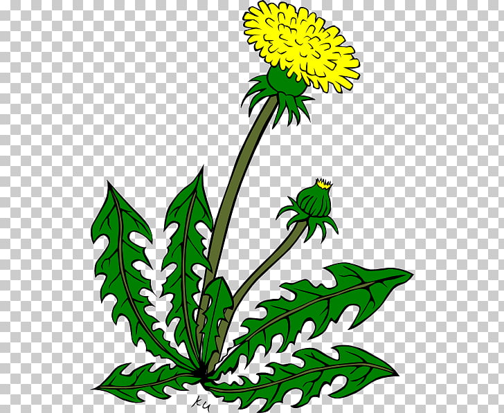 73 weeds Vector PNG cliparts for free download.