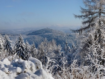 Wintry snow winter resin Photo.