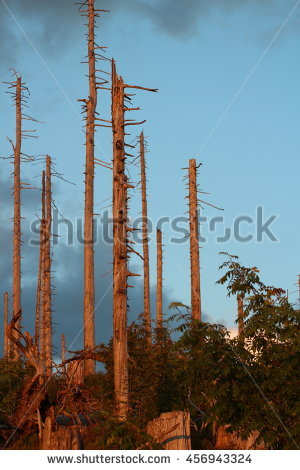 Bavarian Live Stock Photos, Royalty.