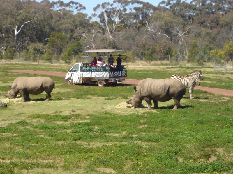 Werribee.