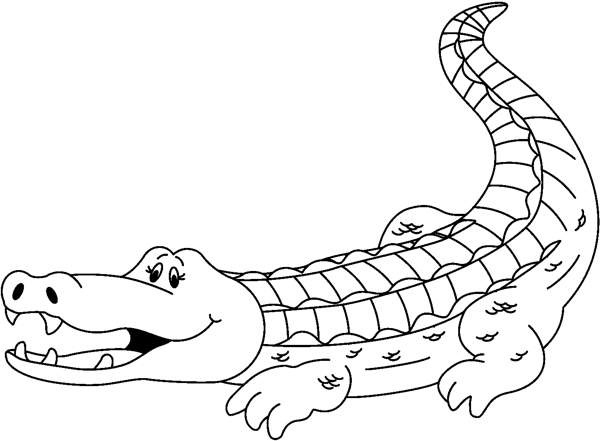 Alligator clipart cute, Alligator cute Transparent FREE for.