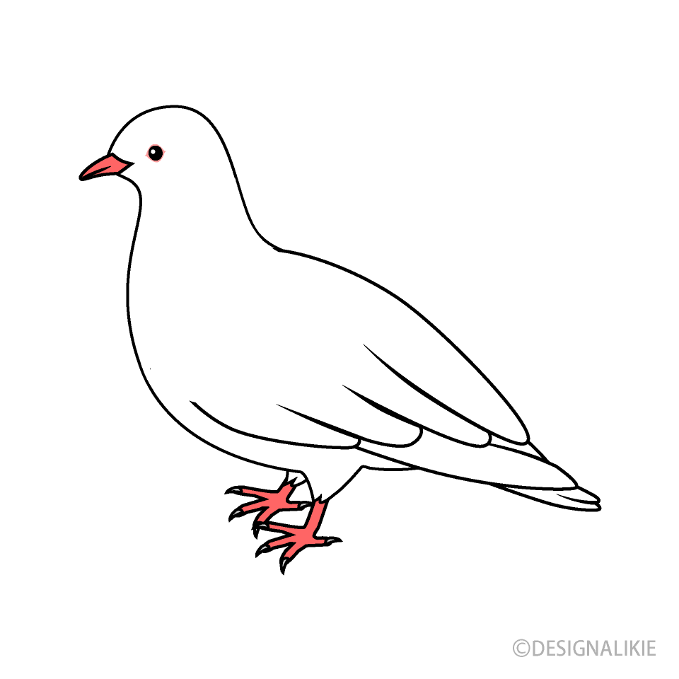 Free White Dove Clipart Image｜Illustoon.