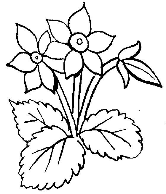 Black And White Flowers Clipart Free Download Clip Art.