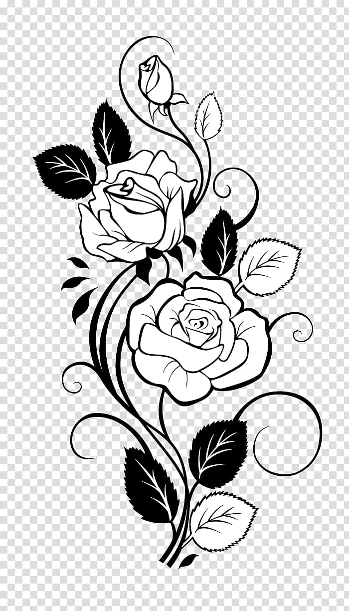 White flower illustration, Rose Drawing Vine , Rose.