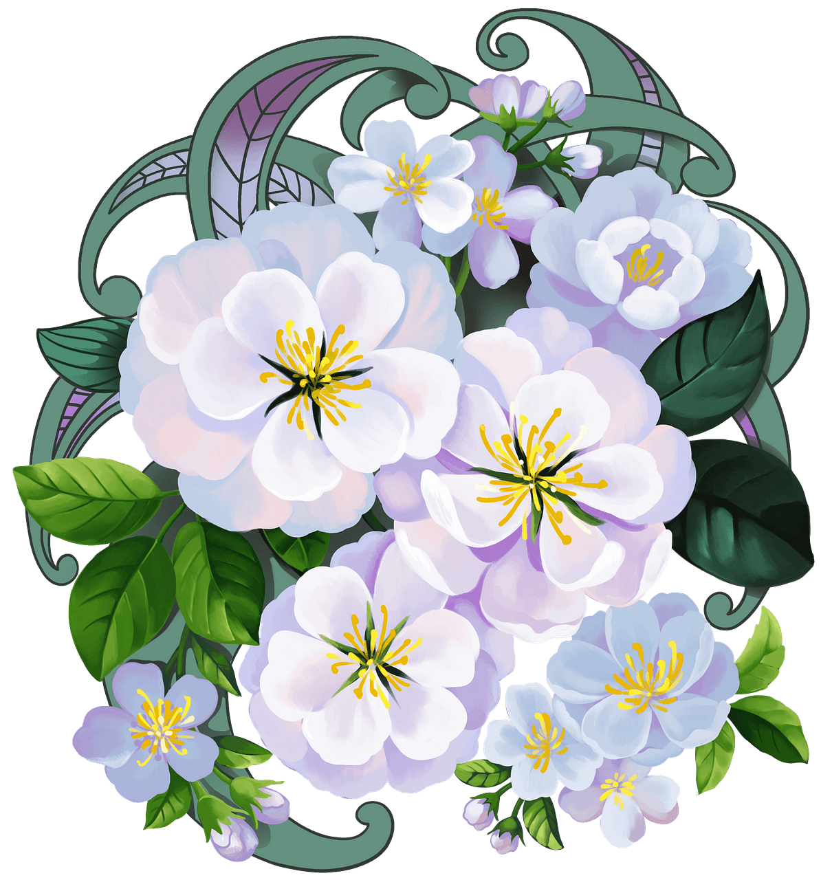 White flowers clipart. Free download..