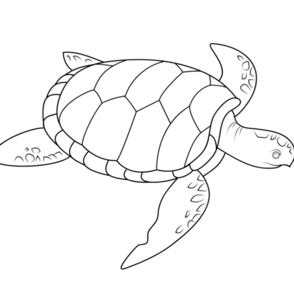 11771 Sea free clipart.