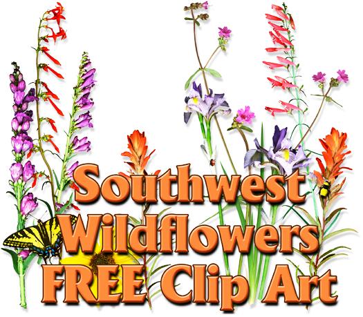 Free Wildflower Cliparts, Download Free Clip Art, Free Clip.