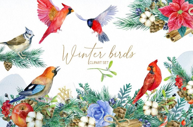 Winter Birds Christmas Clipart.