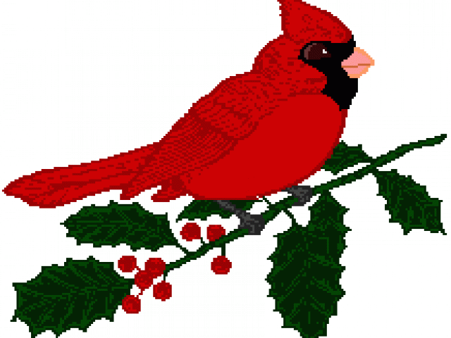 Cardinal clipart snow clipart, Cardinal snow Transparent.