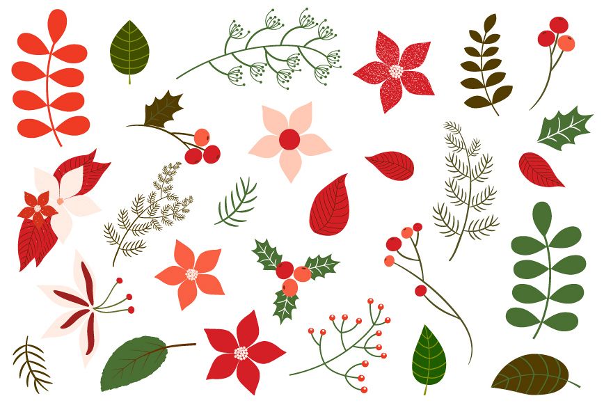 Christmas foliage, Holiday floral clipart.