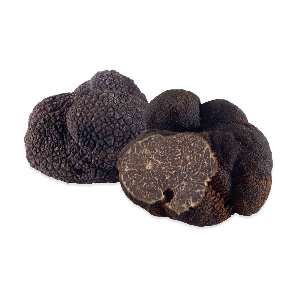 Fresh French Black Winter Perigord Truffles.