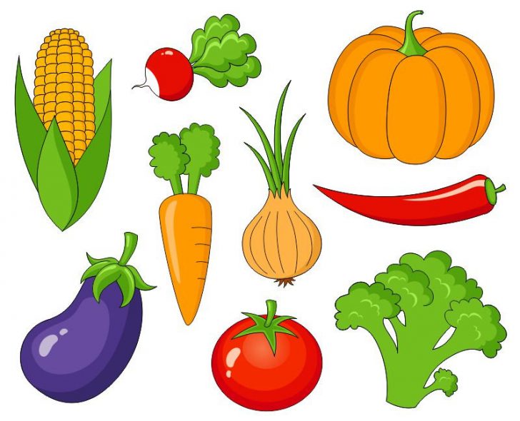 Winter Vegetable Clip Art.