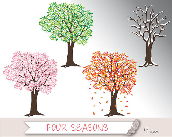 Four Seasons Trees Clipart and Vector with Spring, Summer, Fall.