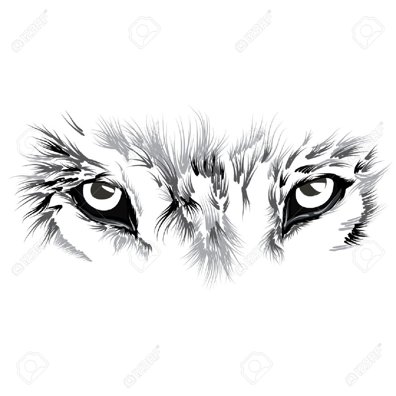 wolf eyes clip art 10 free Cliparts | Download images on Clipground 2024