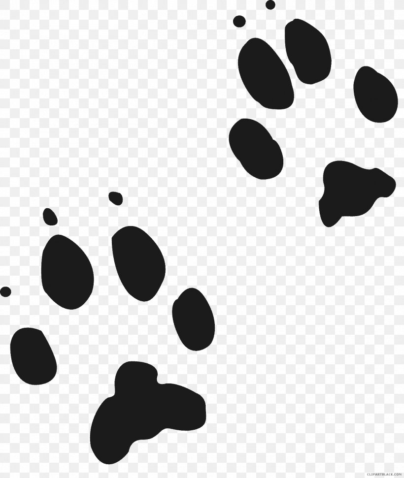 Red Fox Wolf Gray Fox Animal Track Cougar, PNG, 1463x1734px.