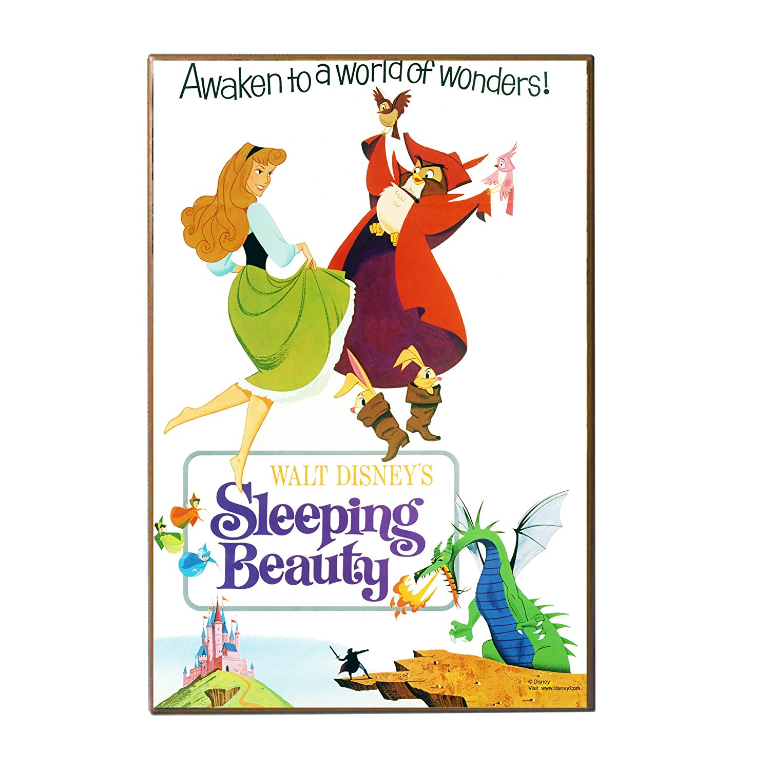 Wonders Of Disney Png Sleeping Beauty & Free Wonders Of Disney.