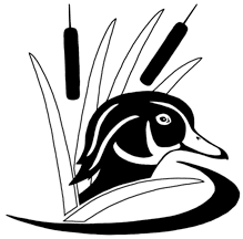 Wood Duck Clipart.