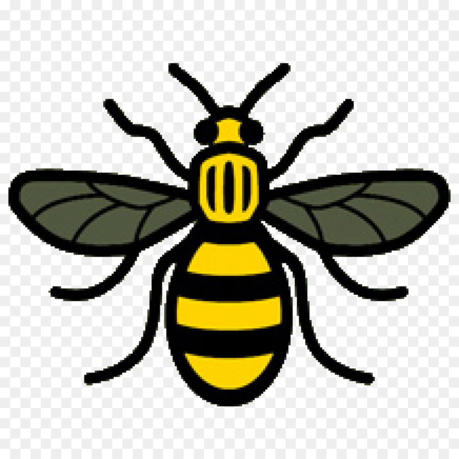 Manchester Bee Background.