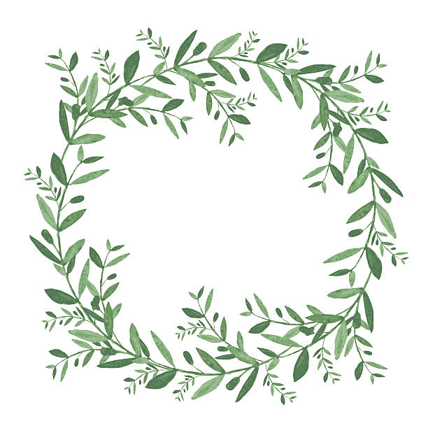 Best Olive Wreath Illustrations, Royalty.