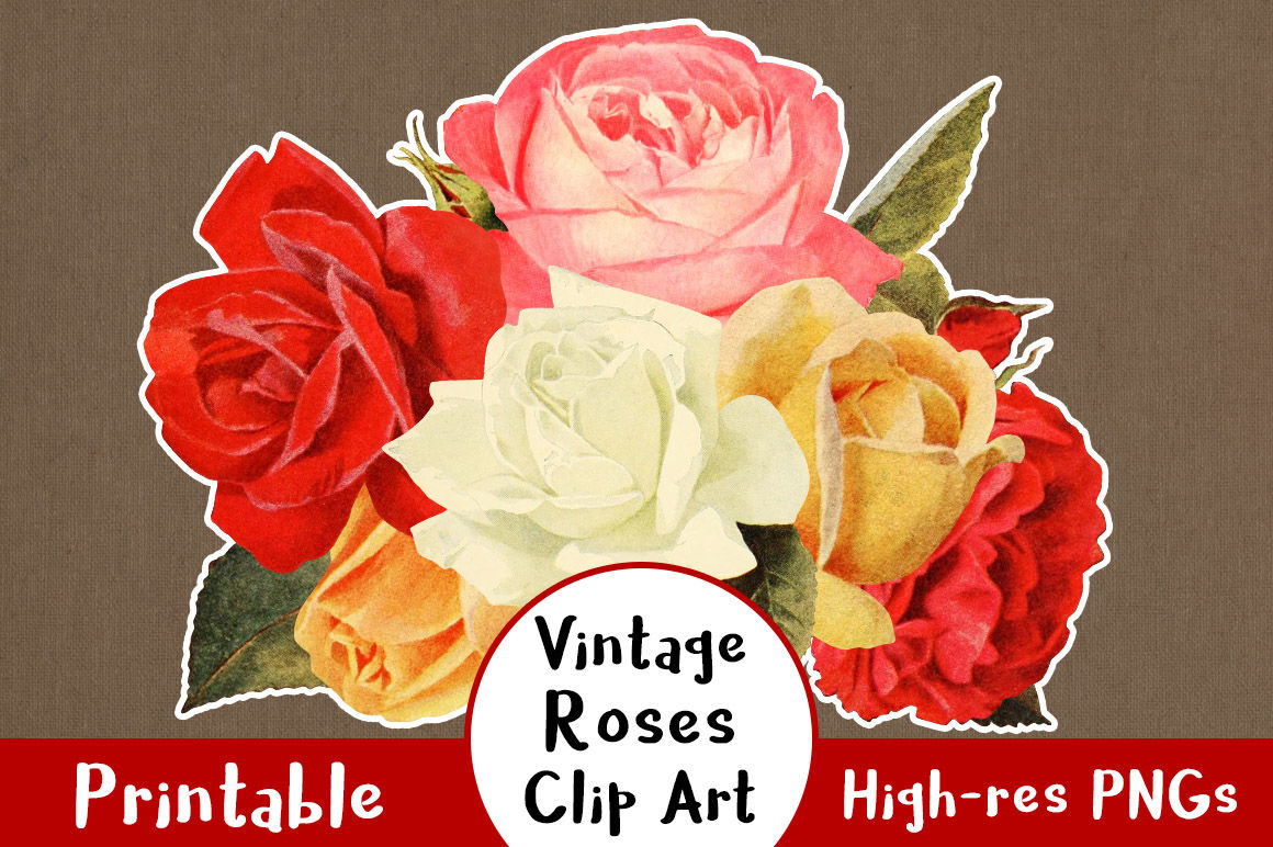 38 Vintage Rose Clipart, Floral Clipart, Flower Clipart.