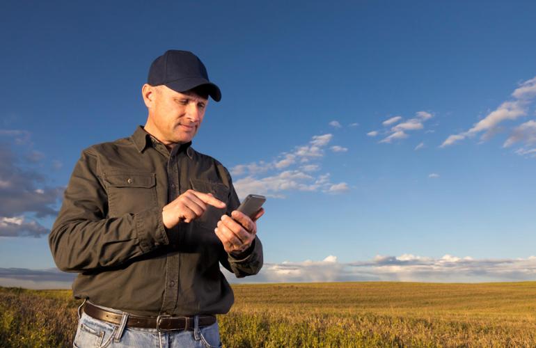 Boer bekijkt smartphone in graanveld