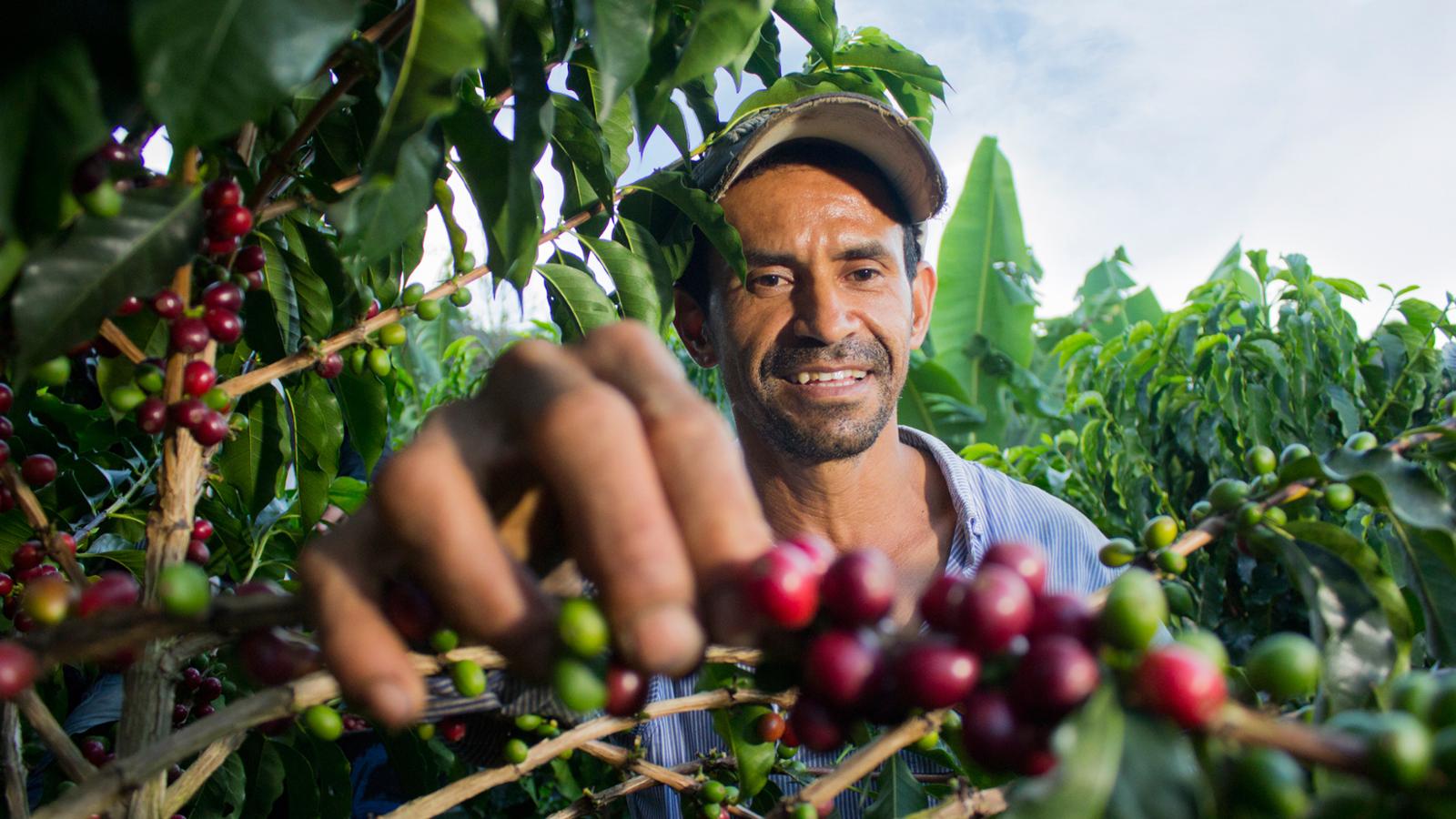 Productores Para El Futuro