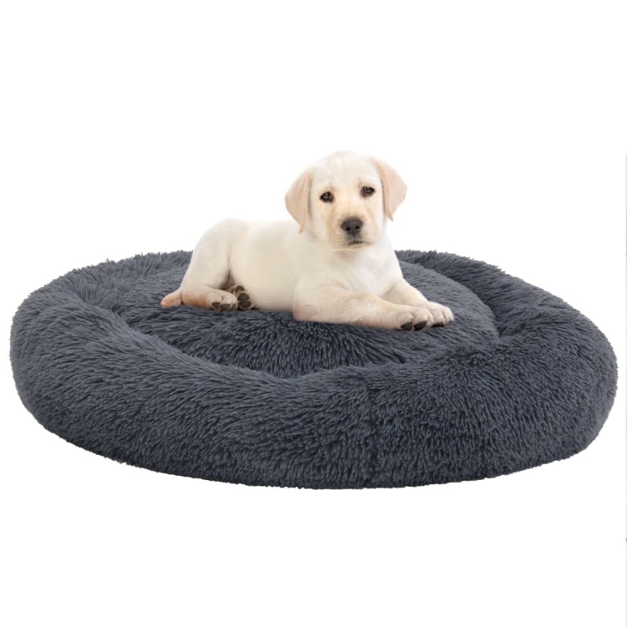 Dog Beds & Blankets