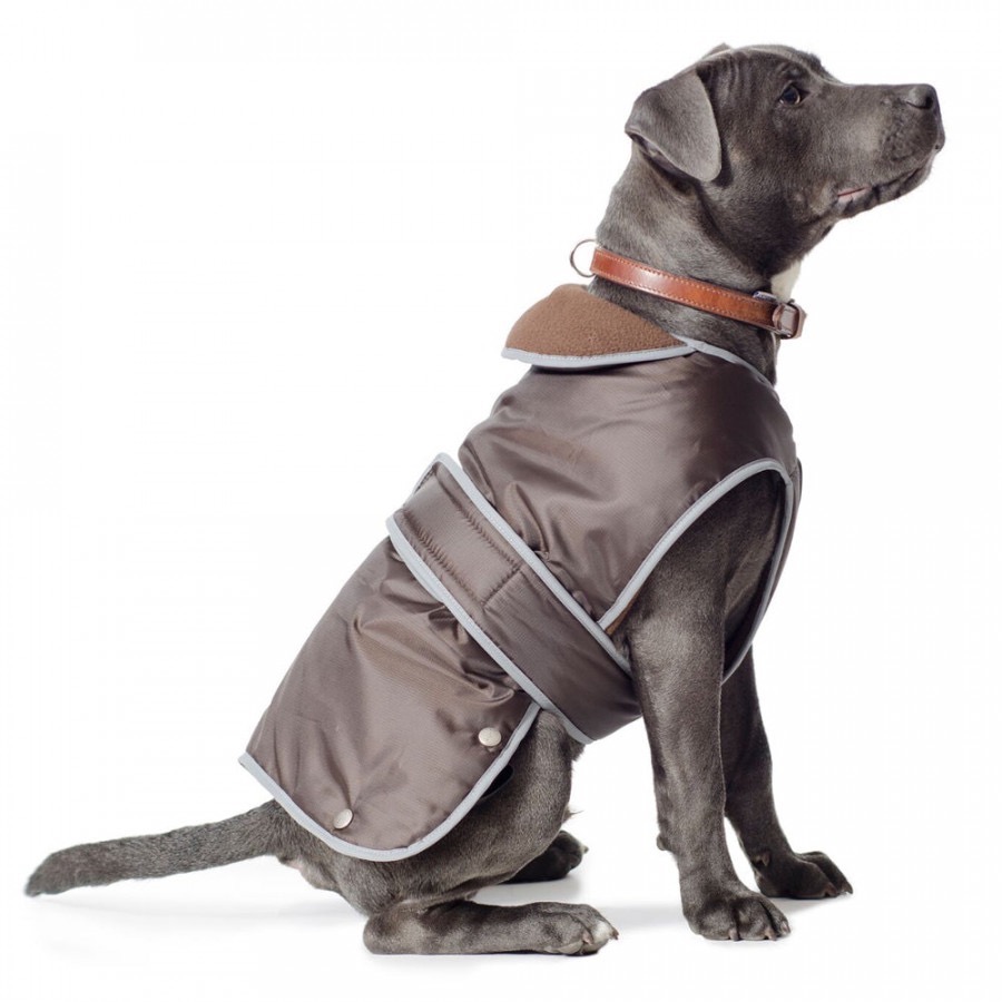 Dog Coats & Clothing