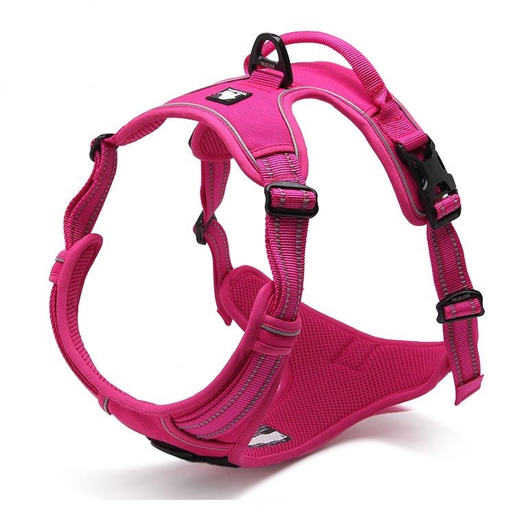 Dog Harnesses, Collars & Leads