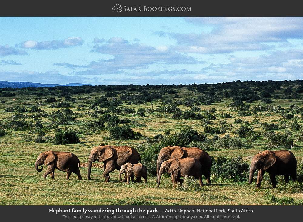 Addo Elephant Park Map