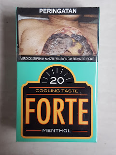 Djarum Forte Menthol - 200 grams - Clove Cigarettes Online, Djarum ...