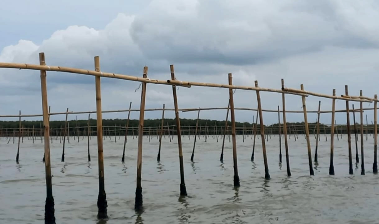 Sanksi Pemilik Pagar Laut Rp18 Juta Per KM, KKP: Denda Dihitung Berdasarkan Luasnya