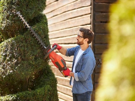 Sharp advice: Master the art of hedge trimming