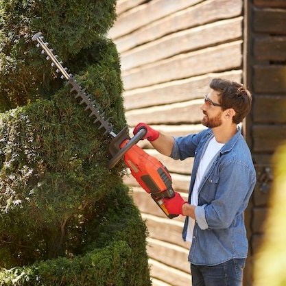 Sharp advice: Master the art of hedge trimming