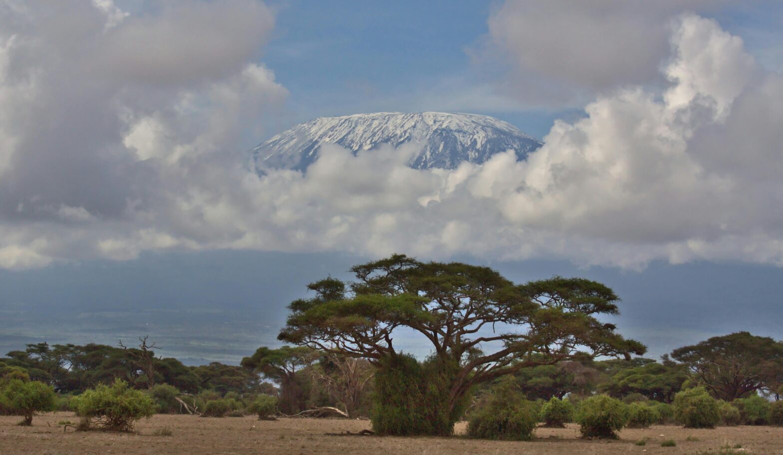 Everything You Need To Know To Hike Mount Kilimanjaro