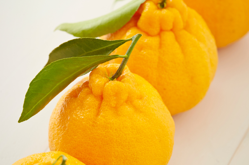 Dekopon - types of CNY orange