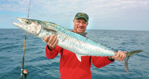 Follow The Fall King Mackerel Migrations