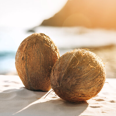 Coconut