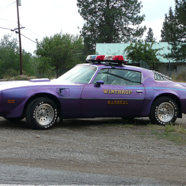 Winthrop Marshall 1977 Pontiac Trans Am