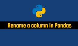 Read more about the article Rename a column in Pandas