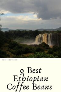 Best Ethiopian Coffee Beans 