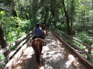 Trail Riding 5-17-15