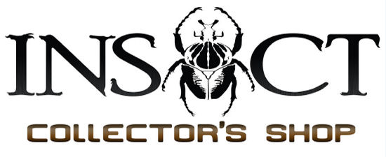 Insect collector's shop | Collectionneur d'insectes