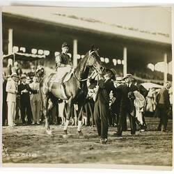 Phar Lap in America, 1932