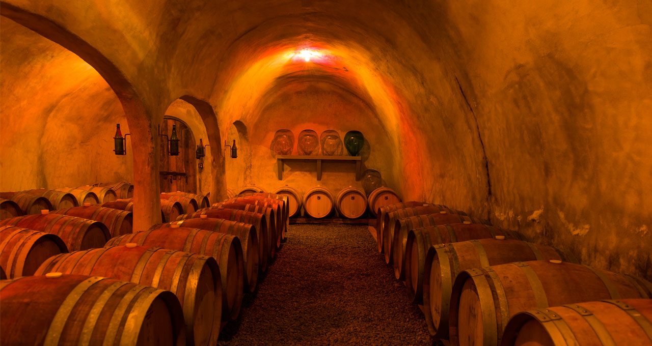 Wine cellar photo