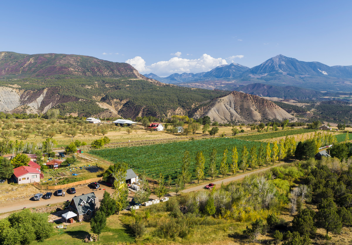 Colorado Winery